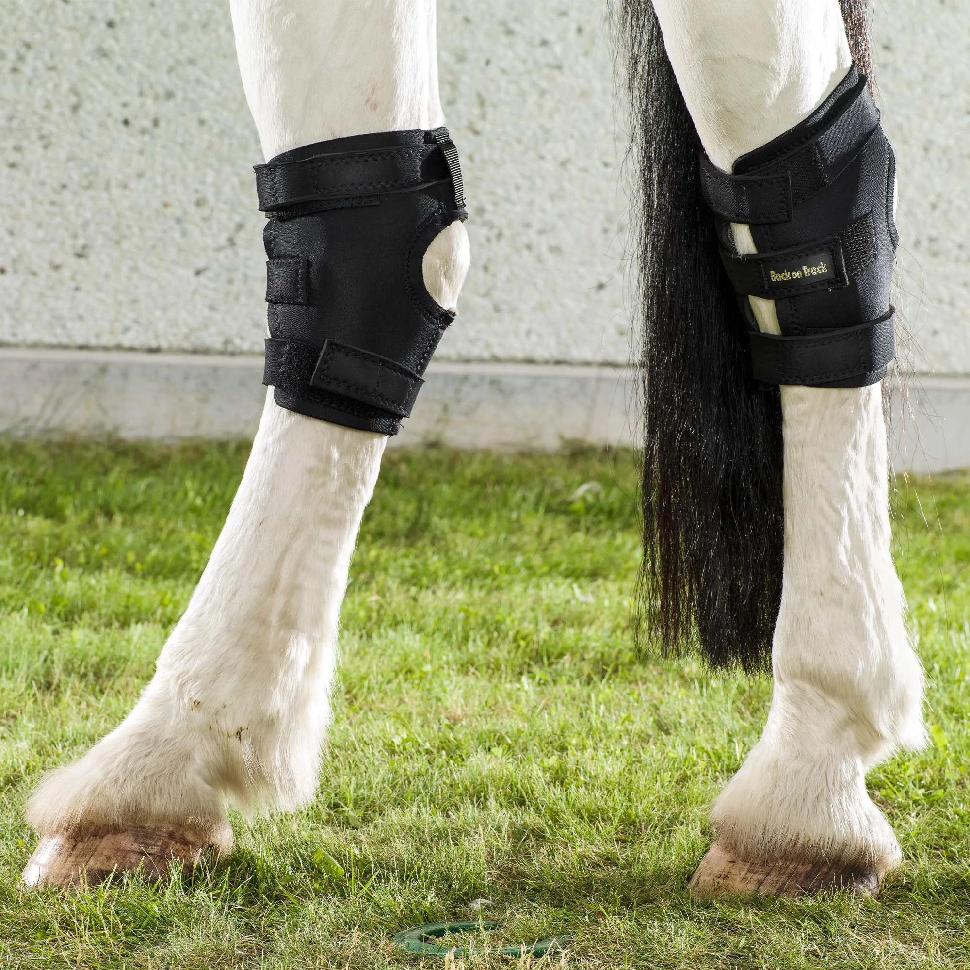 Hock Boots w/ Hole